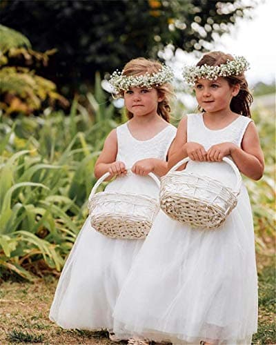 2Bunnies Girl's Rose Lace Back A-Line Tutu Party Dress
