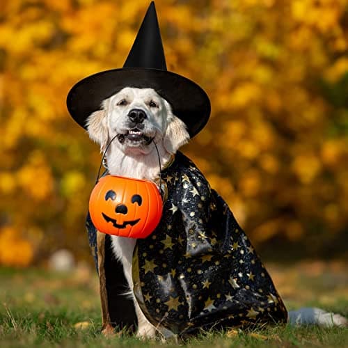 Halloween Black Witches Hats Decor 115 FT Rope Bulk