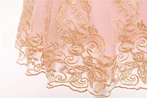 CMMCHAAH 0-6 Yr Girls Formal Lace Embroidery Pageant Dress with Headwear