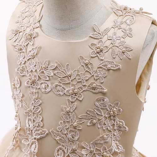 Weileenice Little/Big Girls Lace Bridesmaid Dress