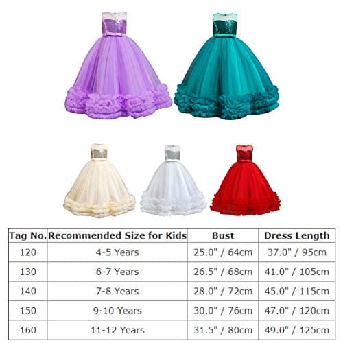Little Girl Shiny Sequin Tulle Princess Dress