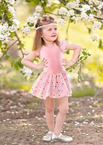 DANSHOW Shiny Ruffle Sleeve Ballet Leotard for Girls Toddler Dance Skirted Tutu Dress