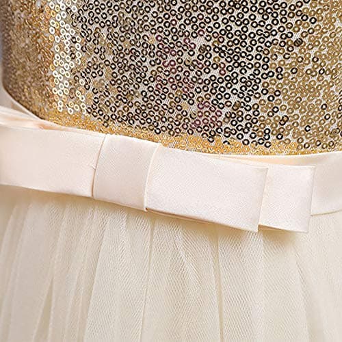 Little Girl Shiny Sequin Tulle Princess Dress