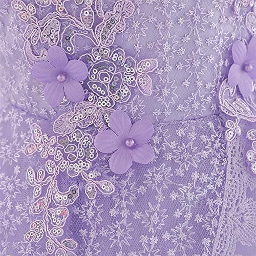 OBEEII Toddler Christening Baptism Tutu Dress with Flower Embroidery